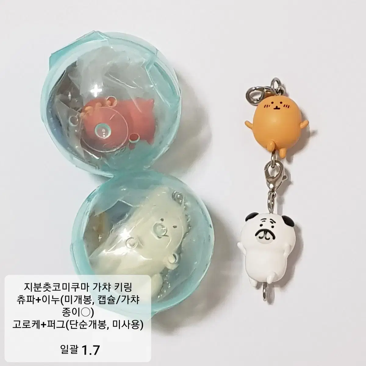 [Bulk] Joke Bear Gacha keyring Croquette Pug Chupacabra Large Dog