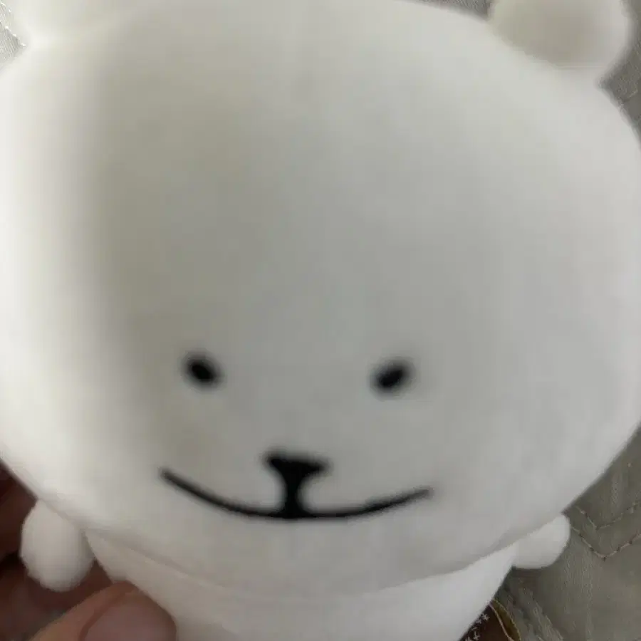 눙담곰 최저가!