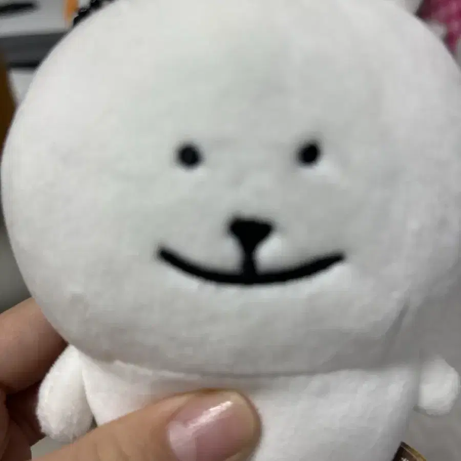 눙담곰 최저가!