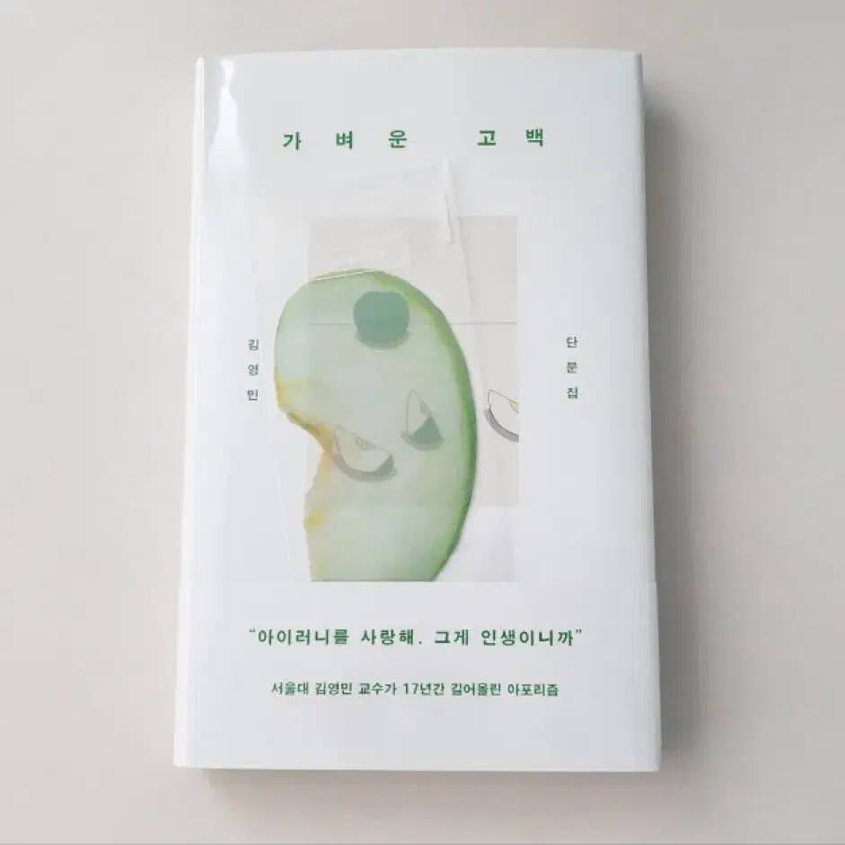 이옥토 책갈피 가벼운 고백 새상품 청사과