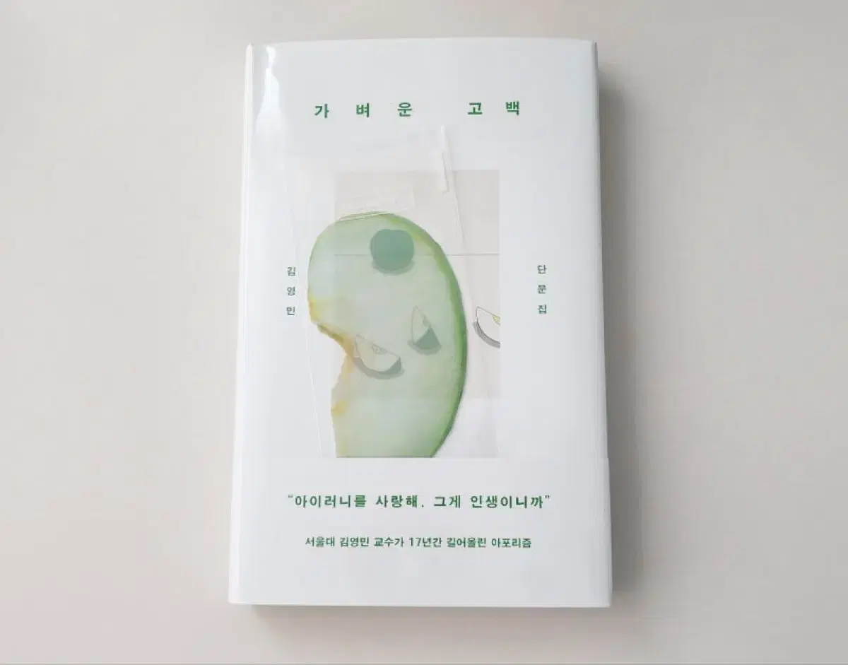 이옥토 책갈피 가벼운 고백 새상품 청사과