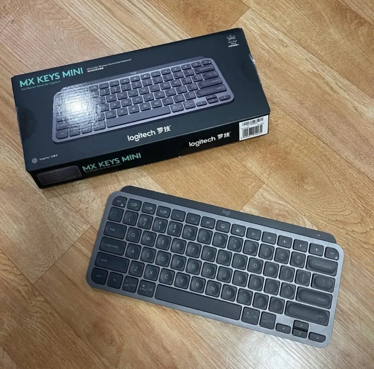 MX KEYS MINI