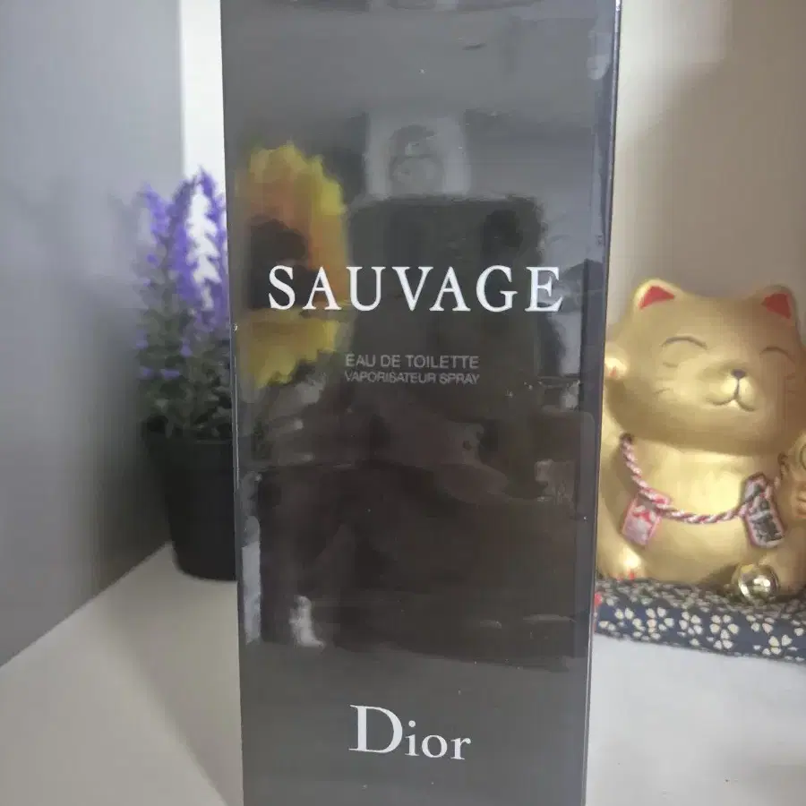 정품 DIOR 소바쥬 남자 향수 200ml 새상품