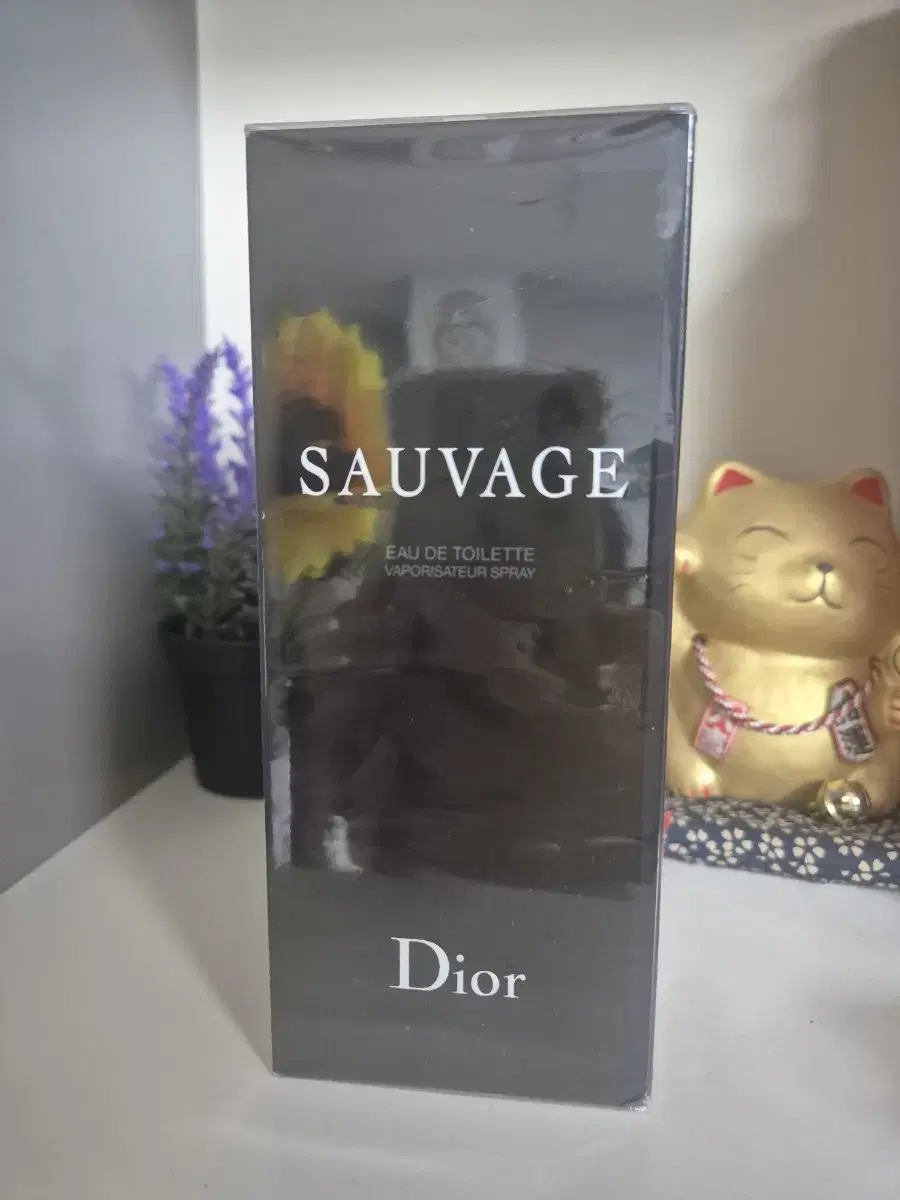 정품 DIOR 소바쥬 남자 향수 200ml 새상품