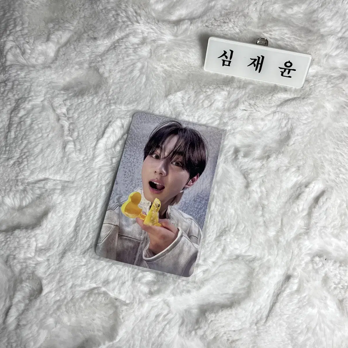 Enhypen jungwon Daydream photocard WTS