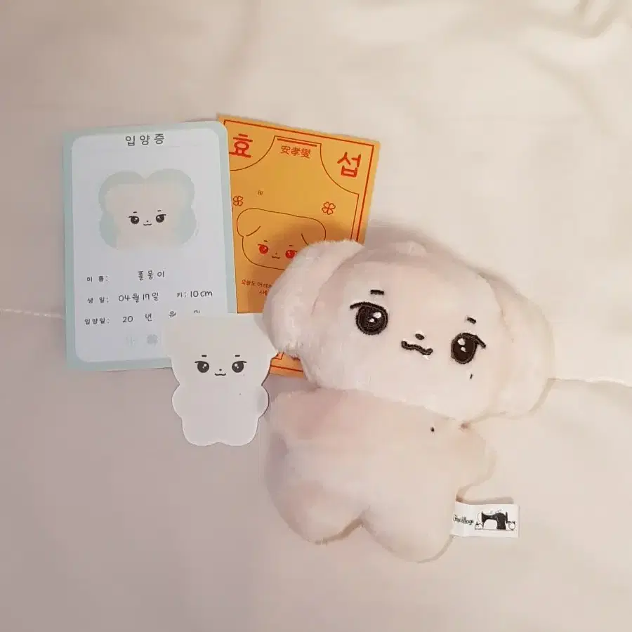 안효섭 폴뭉이 인형