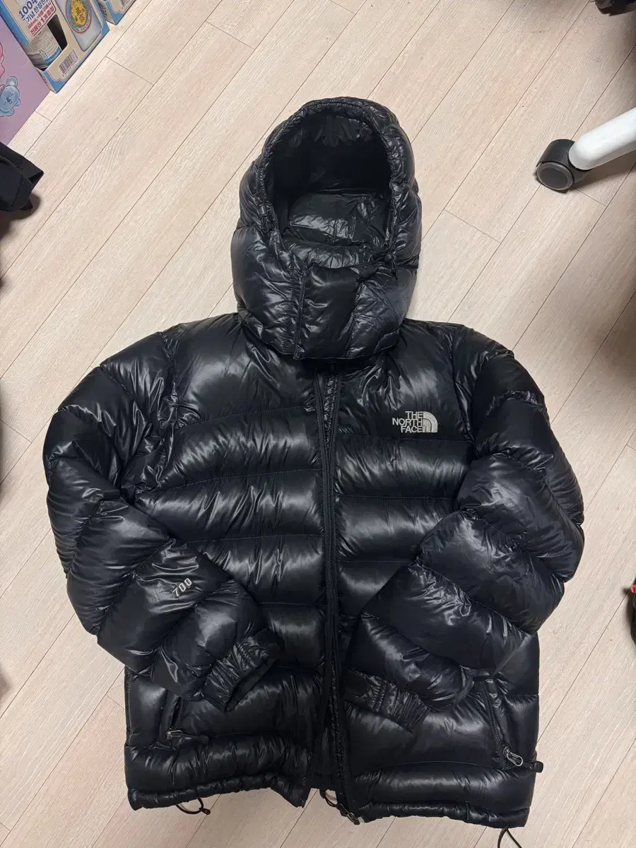 The North Face 700 Glossy Hooded Padding 90