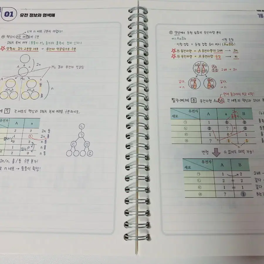 2023 생명과학1 메가스터디 백호T 섬개완 문제편&서브노트