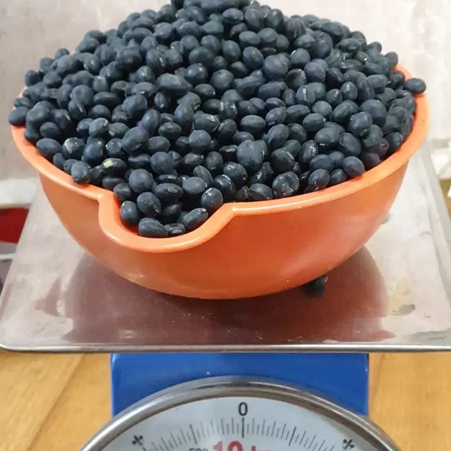 2024 충남 예산 햇서리태 1kg