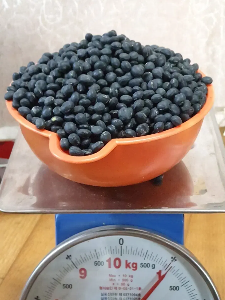 2024 충남 예산 햇서리태 1kg