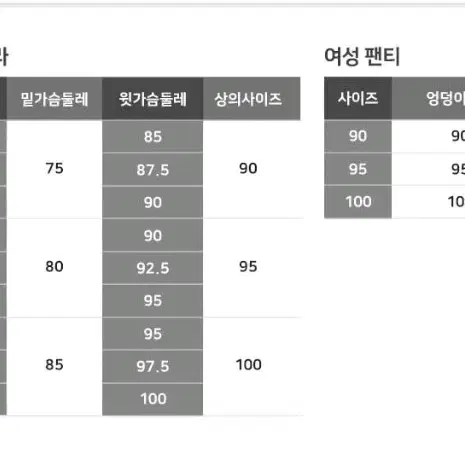 퓨마 드라이셀 브라 팬티 세트 80B