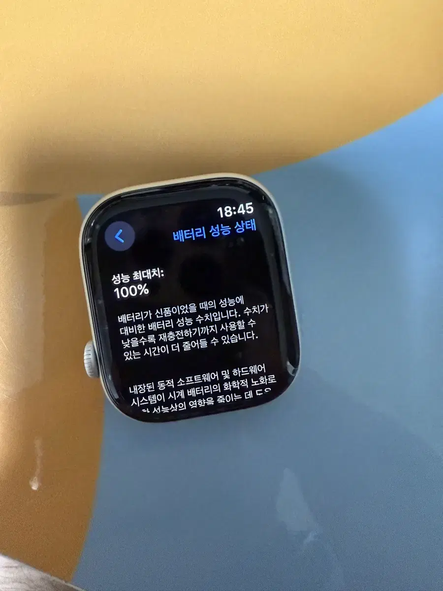 애플워치 10 GPS 46 mm 실버