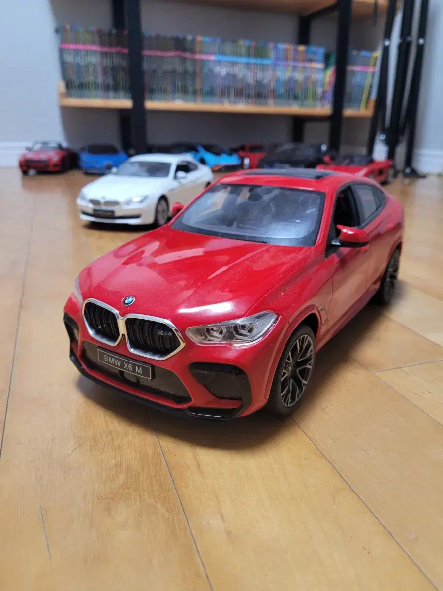 Rasta 1:14 BMW X6