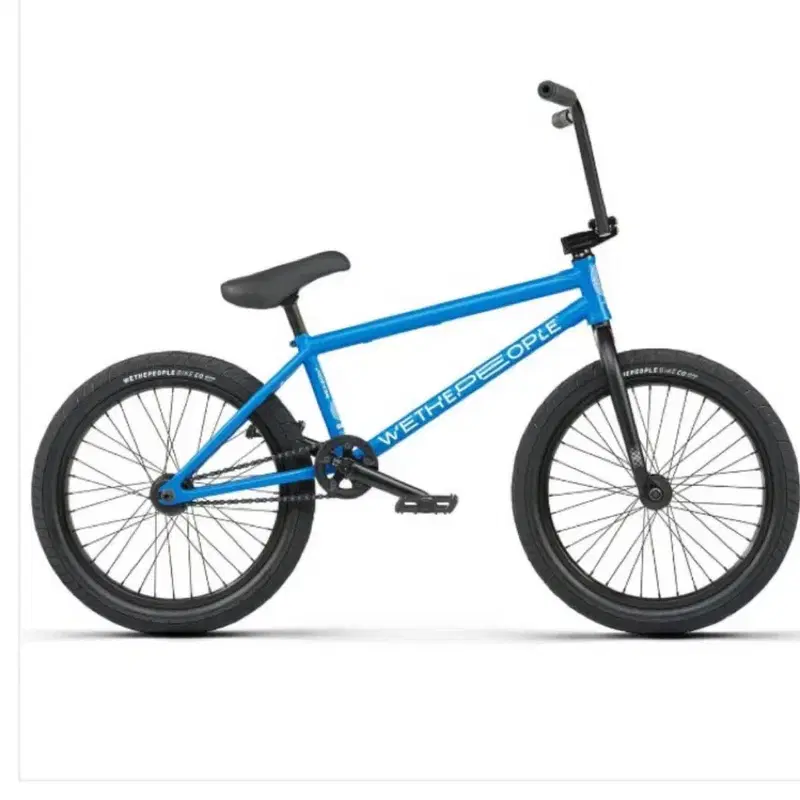 BMX WTP 리즌 프리코스터 스팩-맷블루-