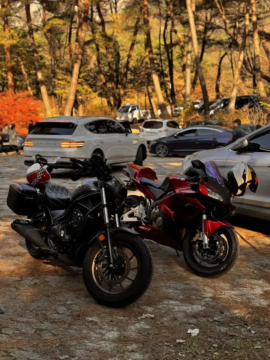 03연식 CBR600RR