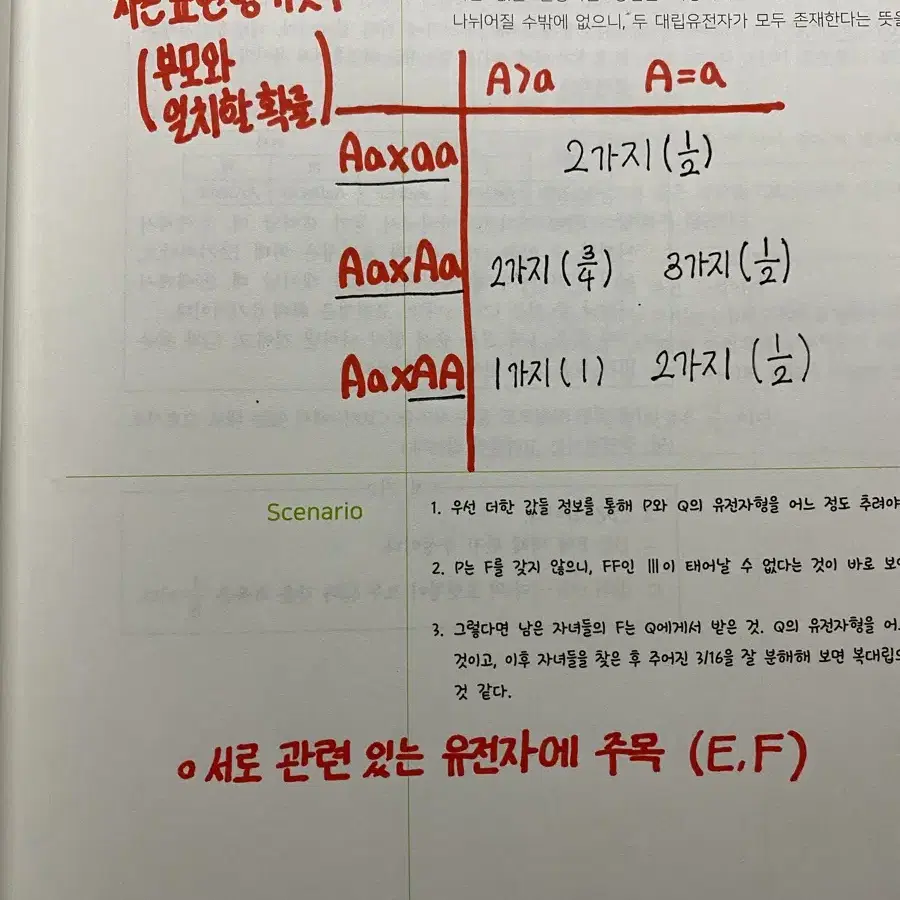 2025 생명과학 1 엣지 변춘수 수업 필기포함 시대인재 엣지