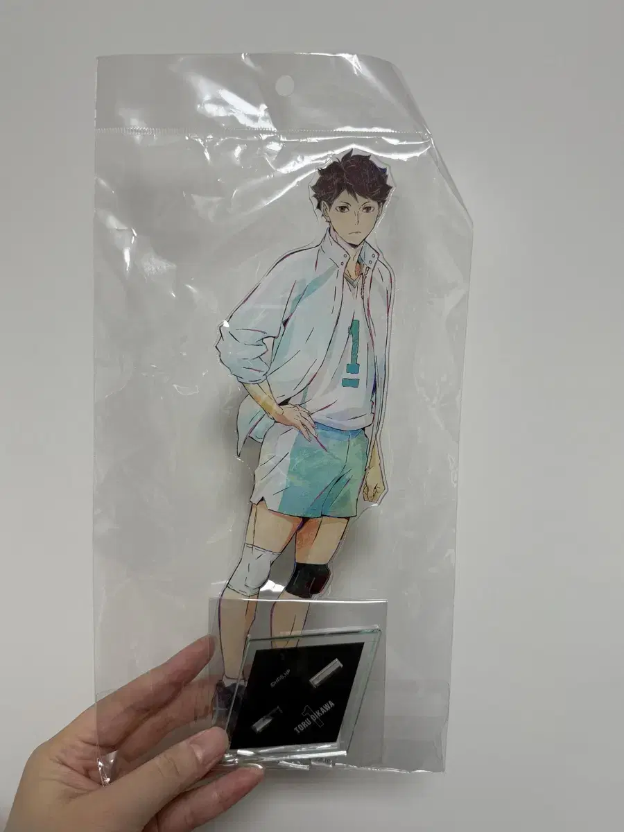 Oikawa Ani-Art 5th Extra Large acrylic Stand