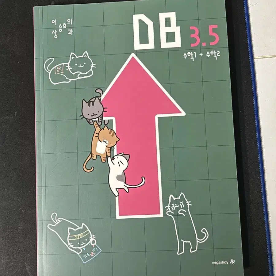 이승효 db 3.5 수학기출