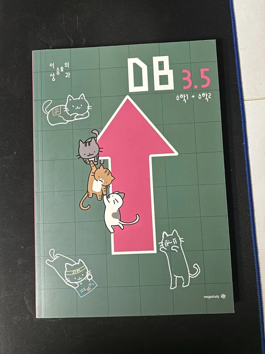 이승효 db 3.5 수학기출