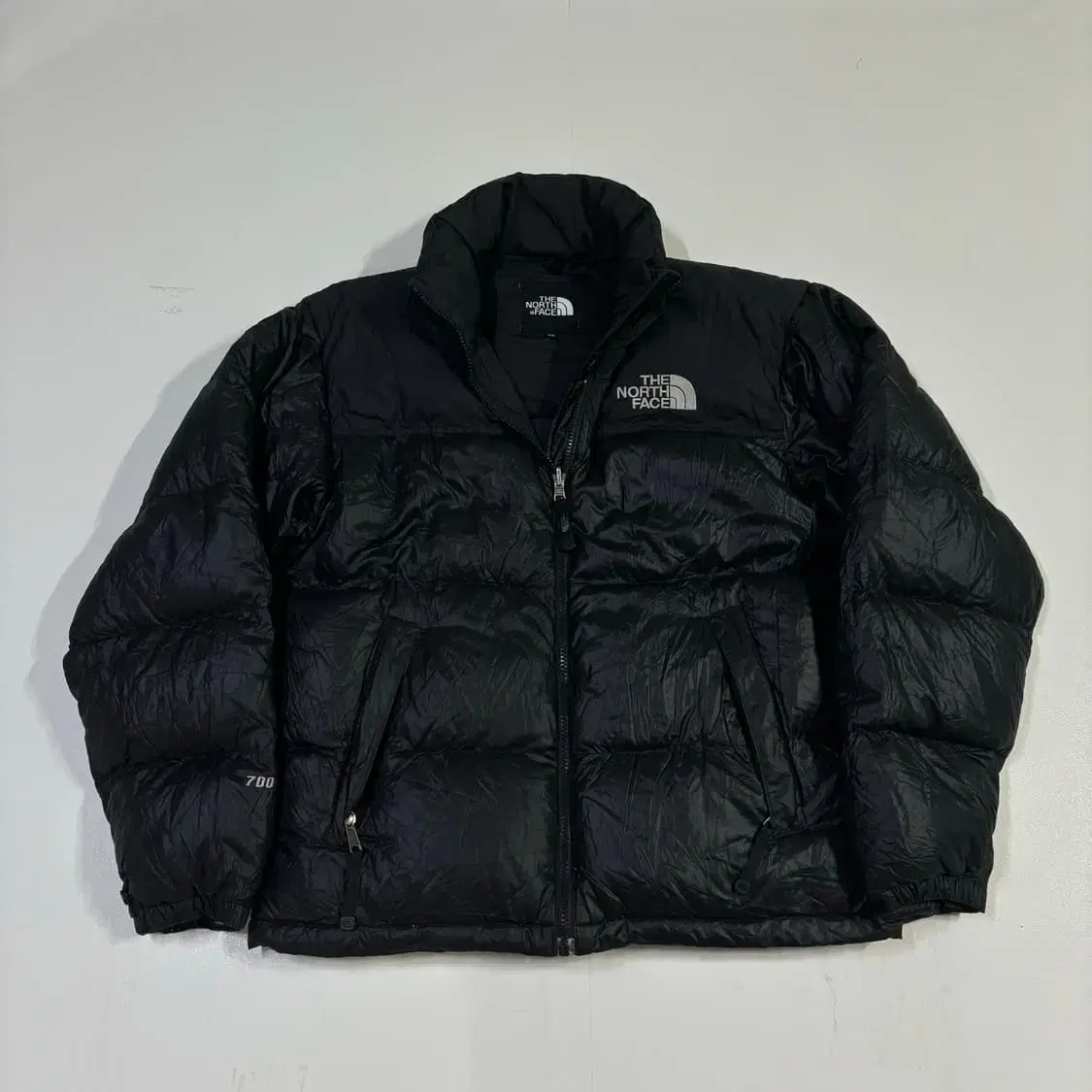 100 The North Face 1996 Nopsi Padding