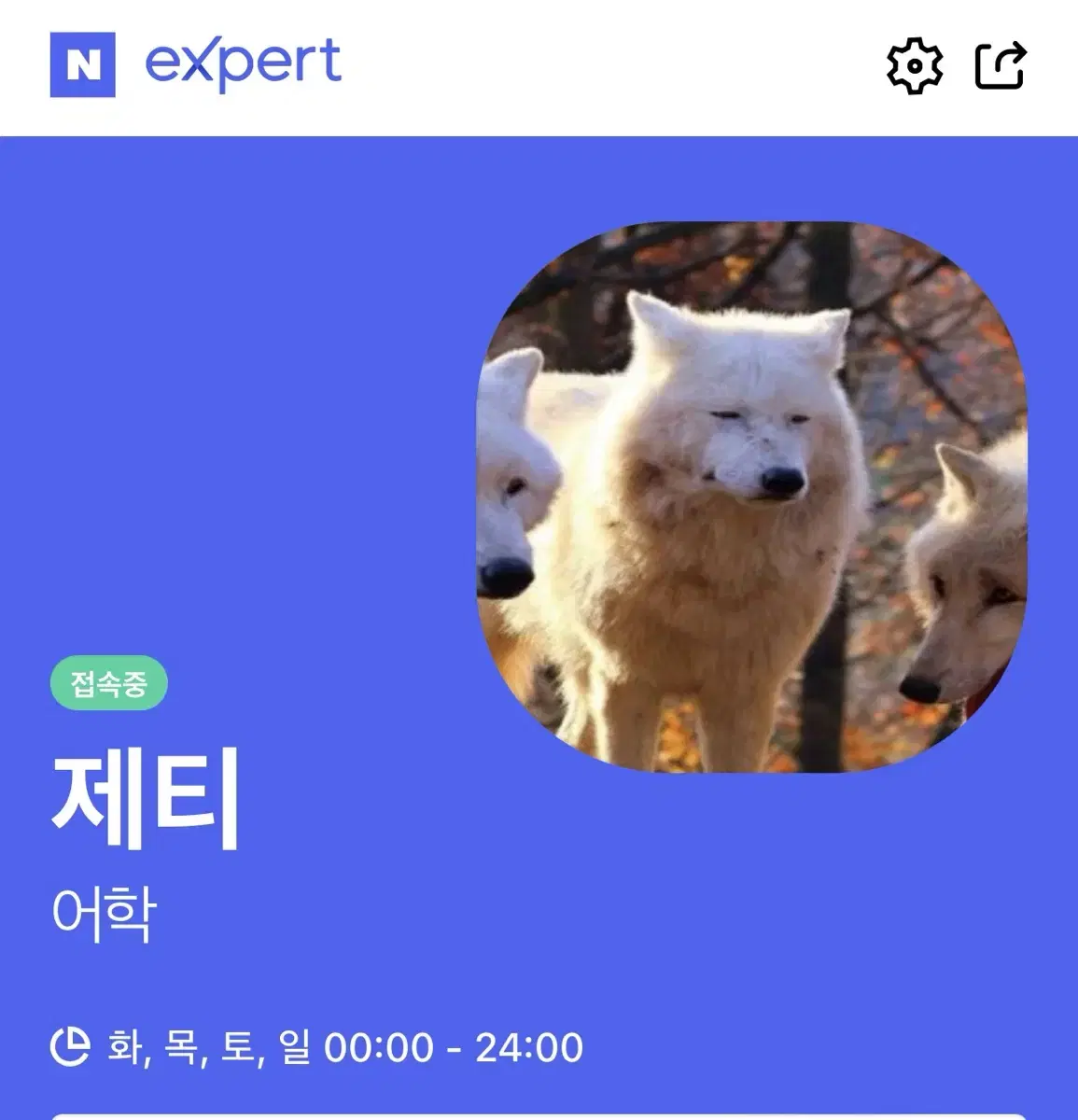 청담원어민, 영어권수의대) 모의토익, gpt우회첨삭, 영어과제