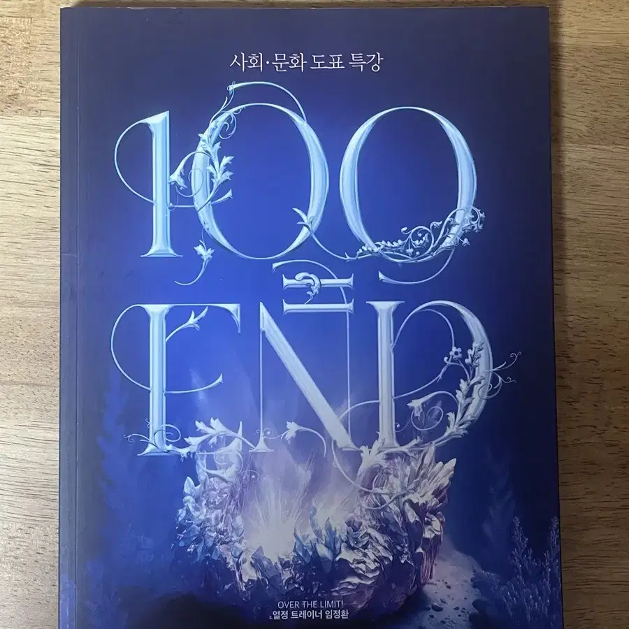 대성 임정환 2025 사회문화 100=END 도표특강 교재