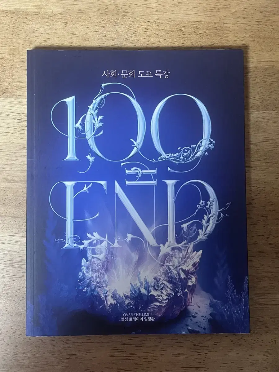 대성 임정환 2025 사회문화 100=END 도표특강 교재