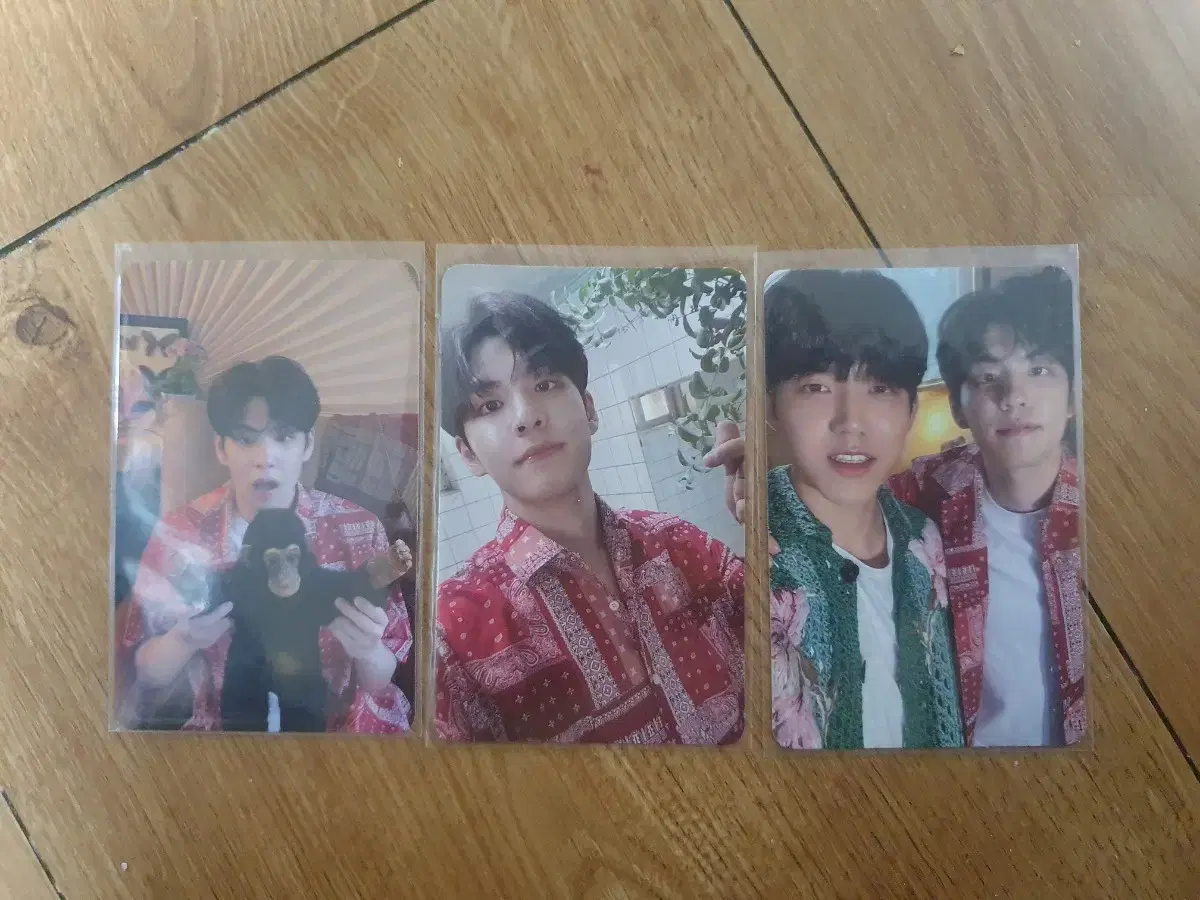 Wonpil evnne of dey drill monkey photocard