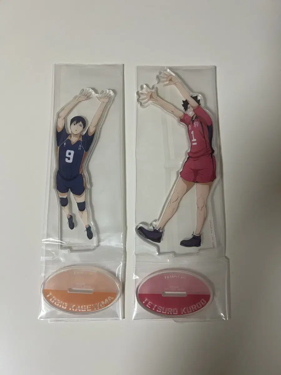 Haikyuu Kuji acrylic stand in bulk (Kageyama/Kuroo)