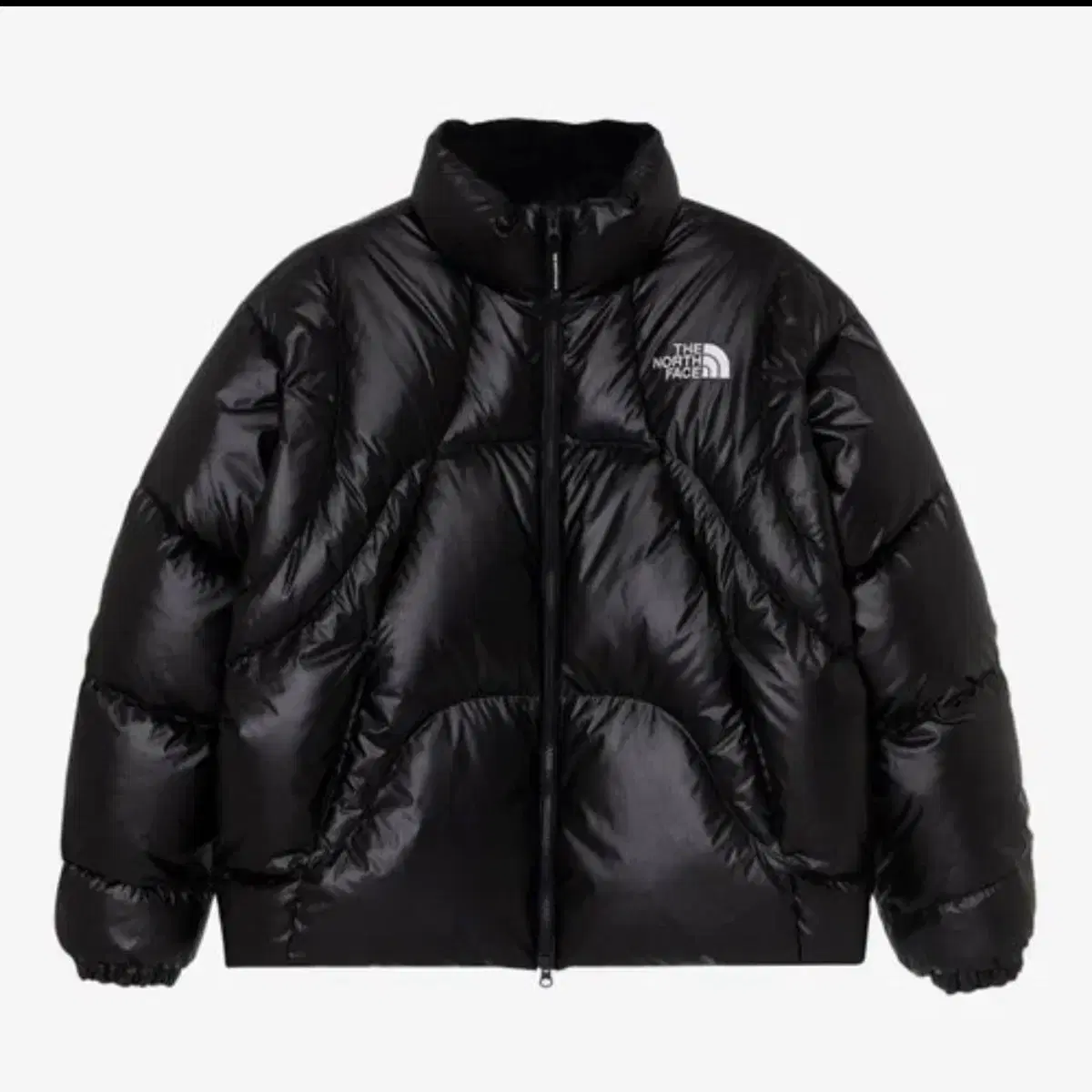 The North Face Wave Padding NJ1DQ55J New