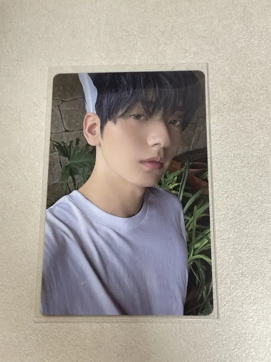 Tuvatu Sanctuary Angel soobin photocard