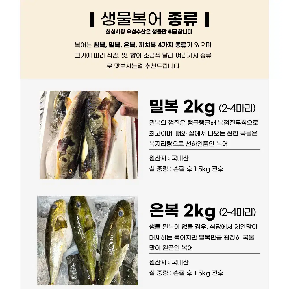 국내산 동해안 밀복 은복 복어 껍질 손질 2kg 복어맛집 복지리 효능