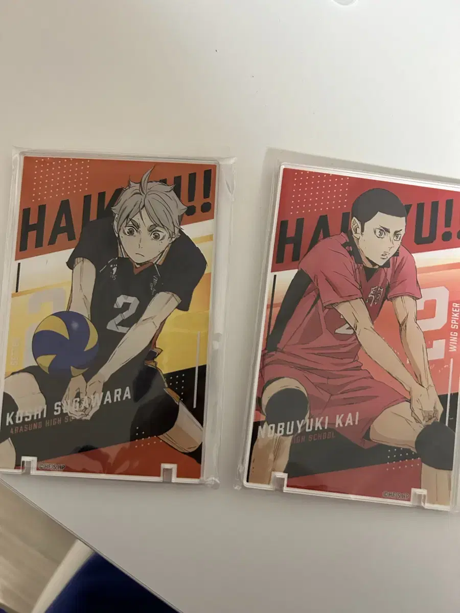 Haikyuu Karasuno Suga/Nekoma kai acrylic