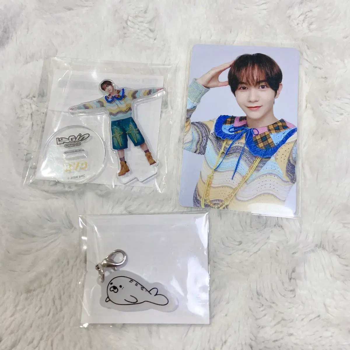 NCT wish Japan Tour Login Randomtoy tc keyring bulk WTS