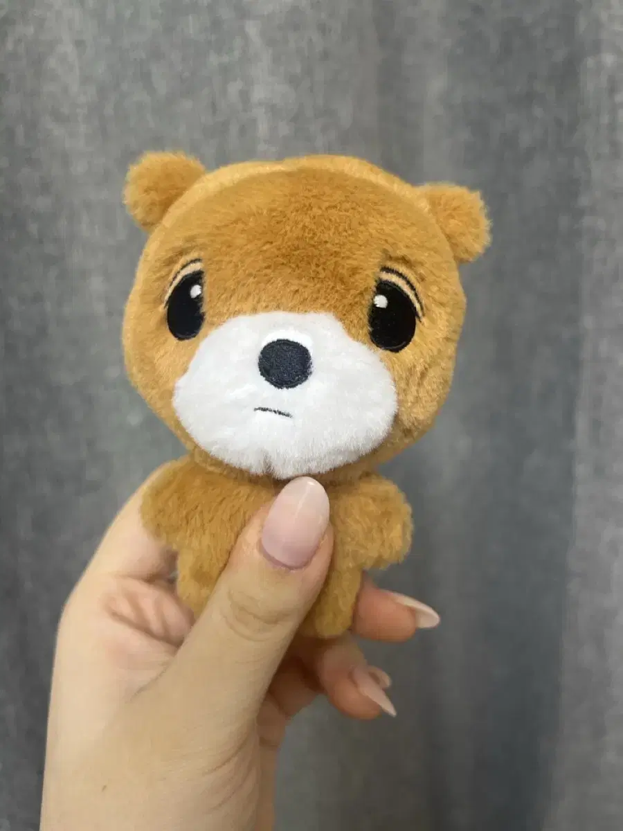 nct haechan dongbae doll wts