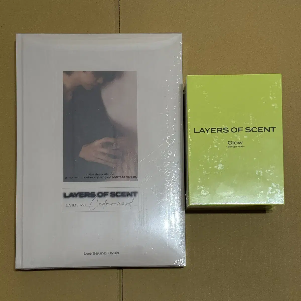 N.Flying 엔플라잉 이승협 LAYERS OF SCENT 포토북 pb