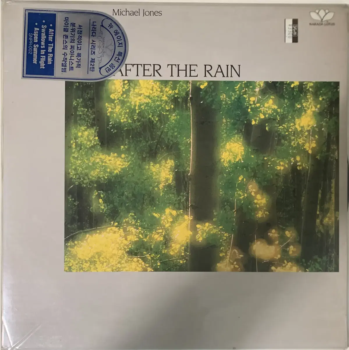 [LP]Michael Jones AFTER THE RAIN