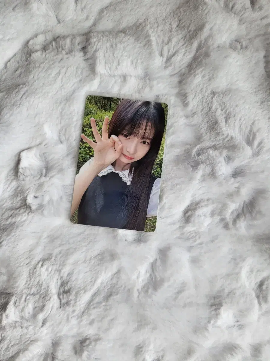 ive lay dikon a photocard bandina ld seasons greetings