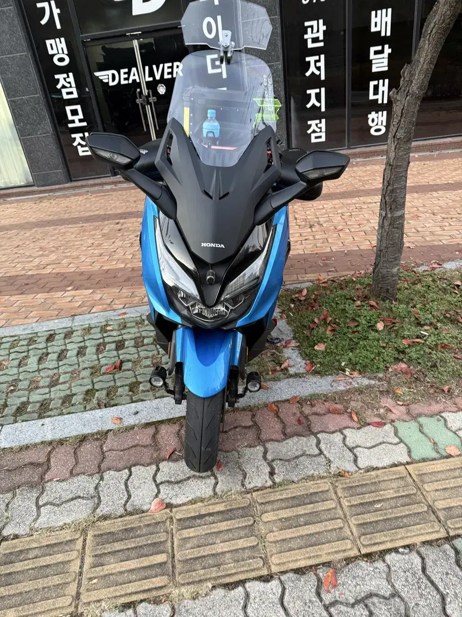 포르자 350