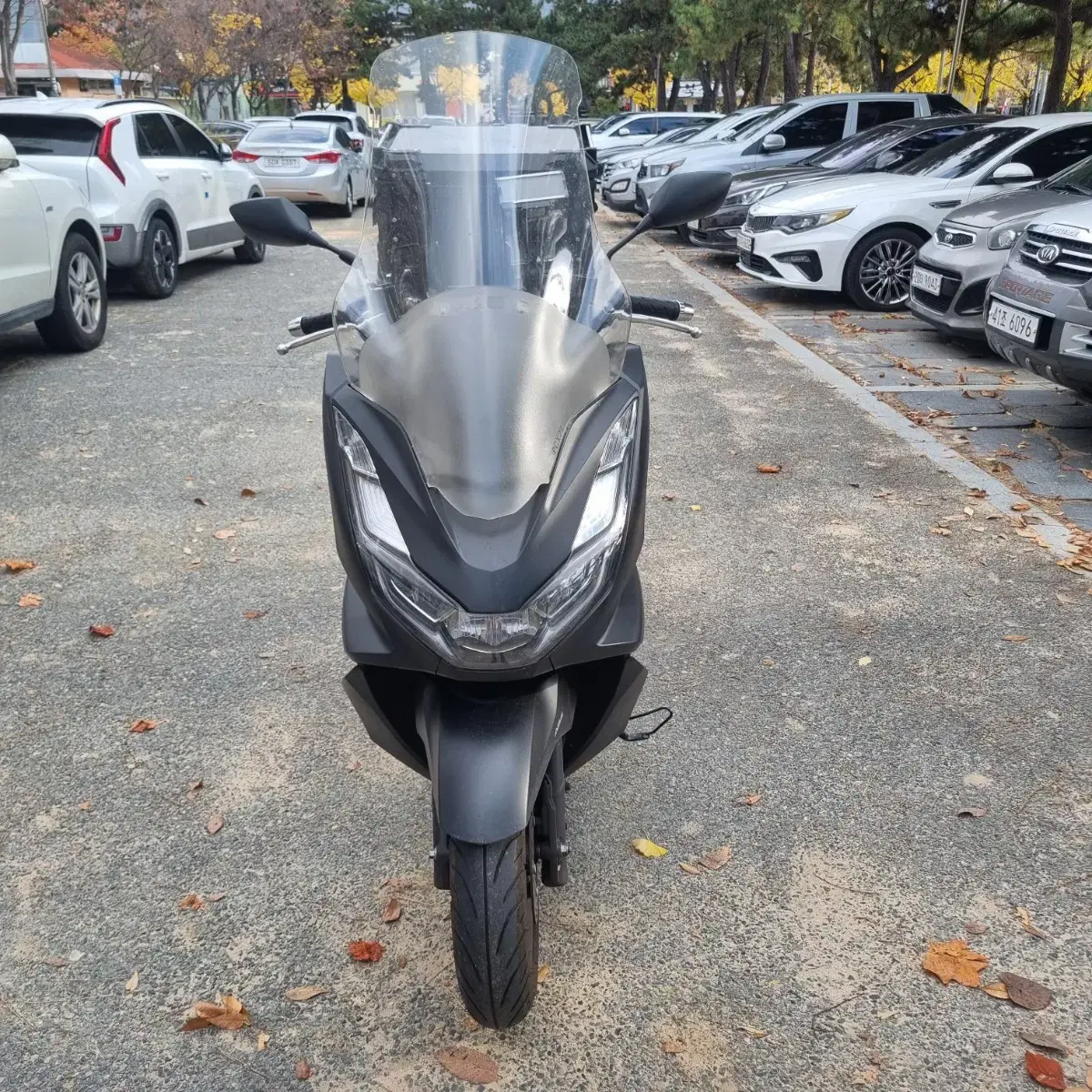 pcx125 24년식