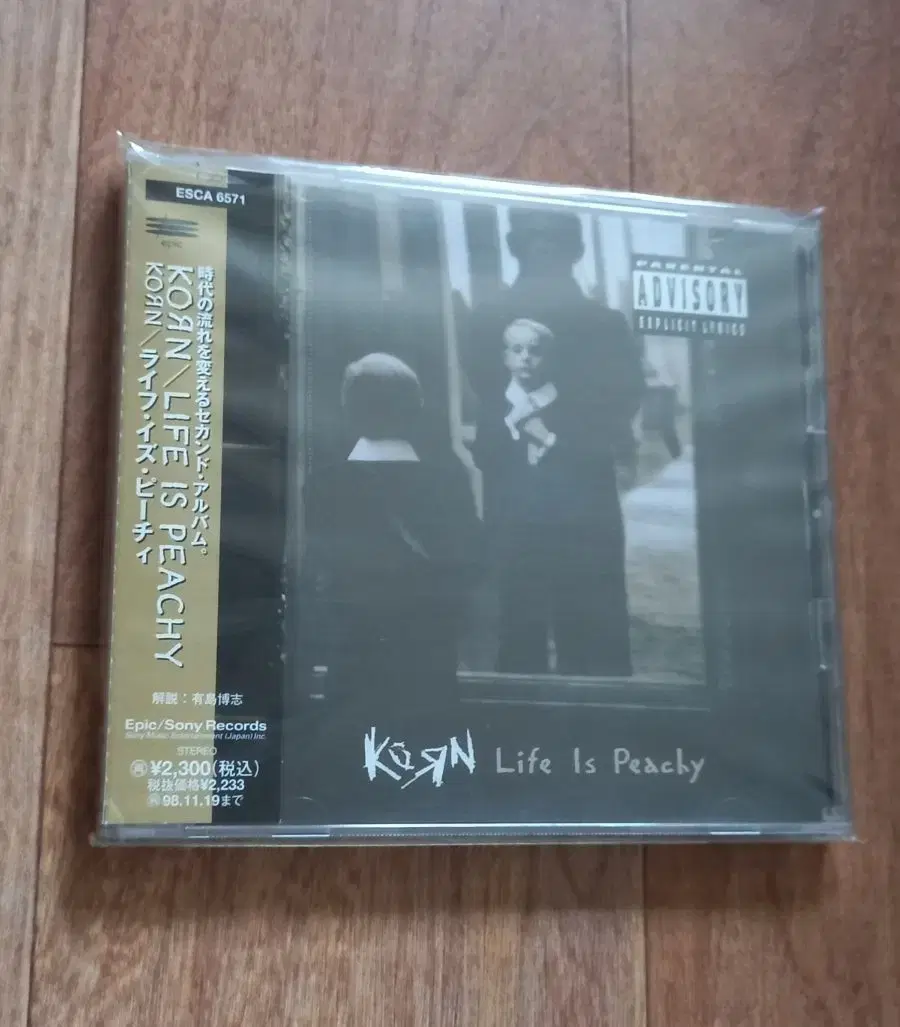 korn cd 일본반 시디