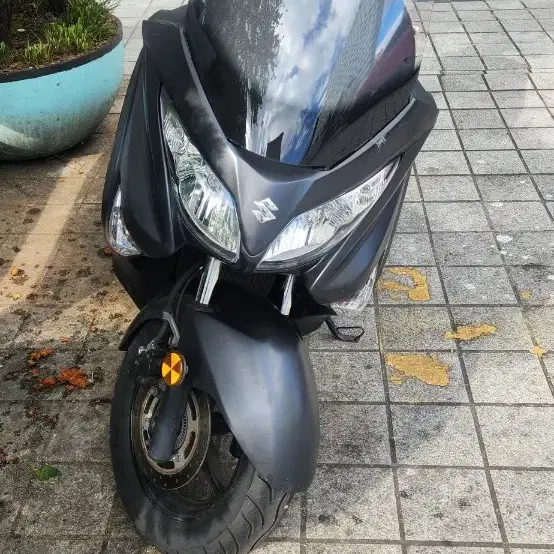 버그만 125cc