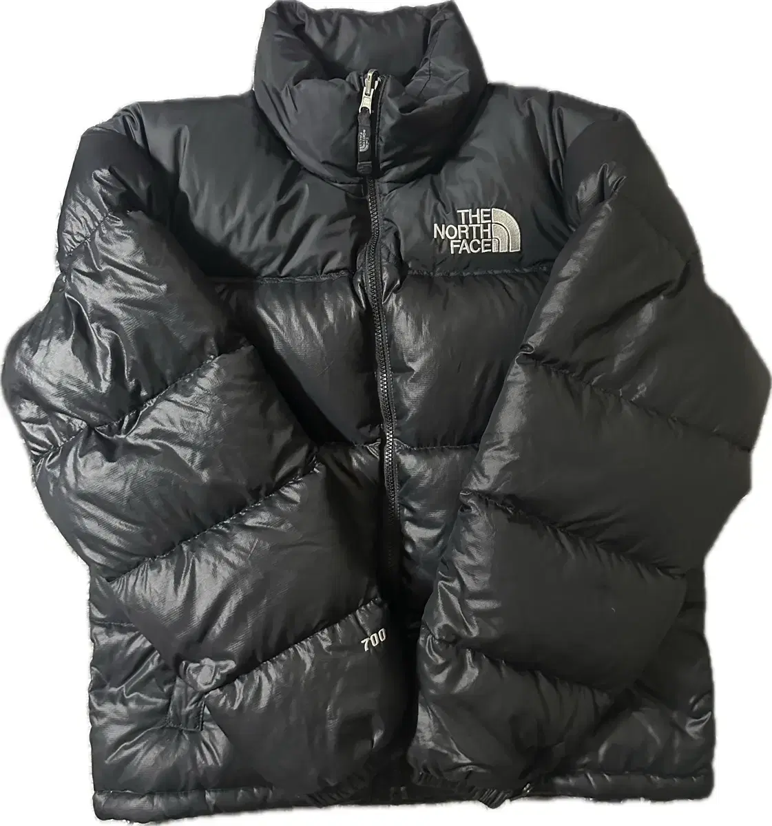 The North Face 700 Old Nupsy Black 90(S)