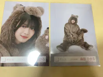 사쿠라자카46 브로마이드 사진 동물 인형옷 모리타 히카루 요리좌식