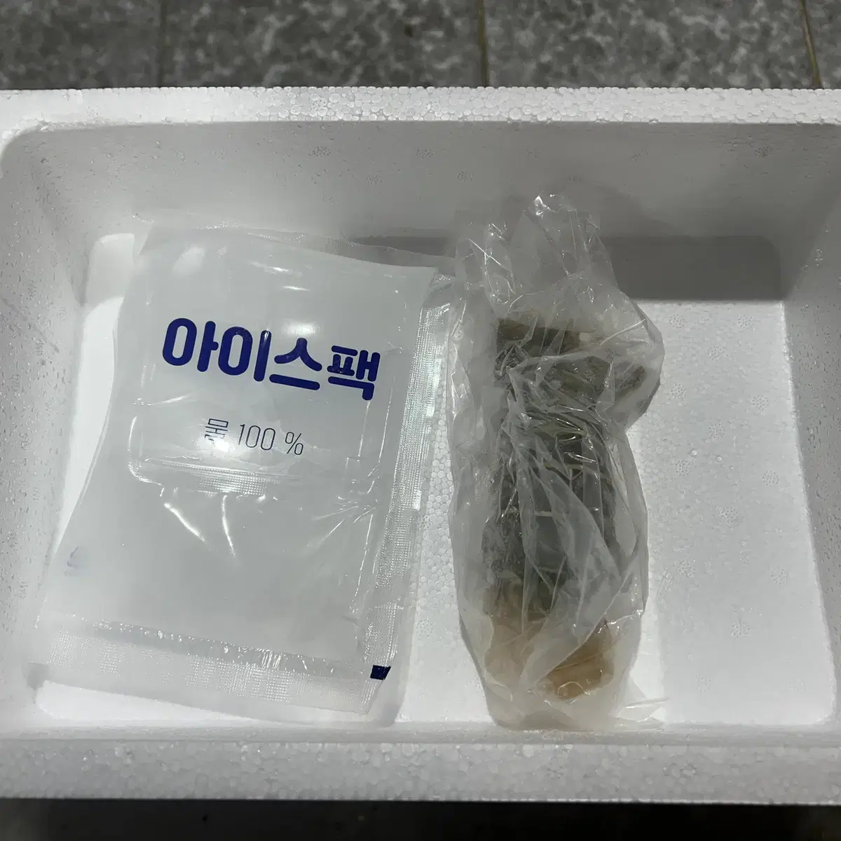 크레이피쉬 테일 1미