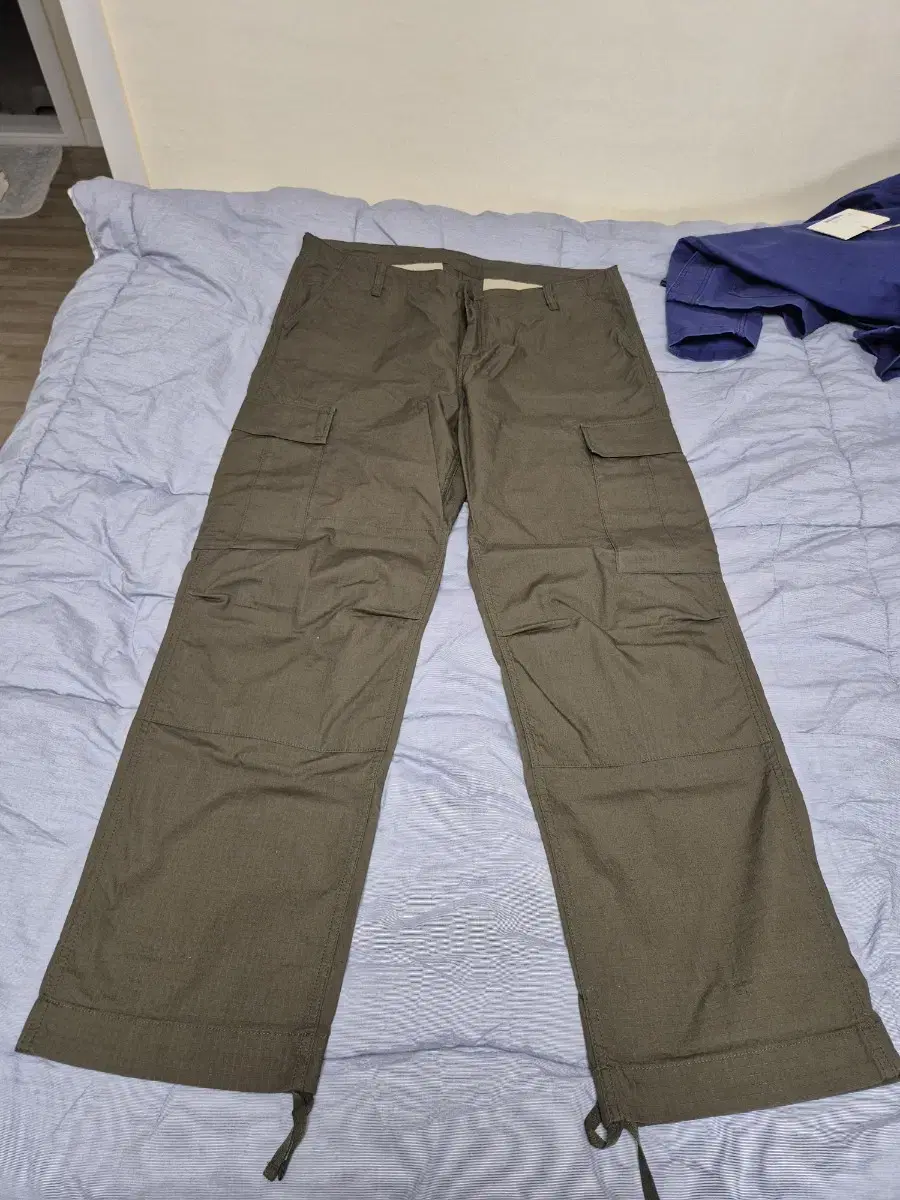 Calhart WIP Regular Cargo Pants