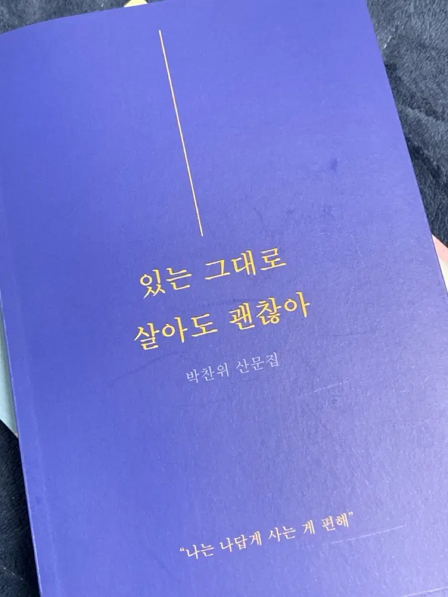 도서, 산문집) 있는 그대로 살아도 괜찮아