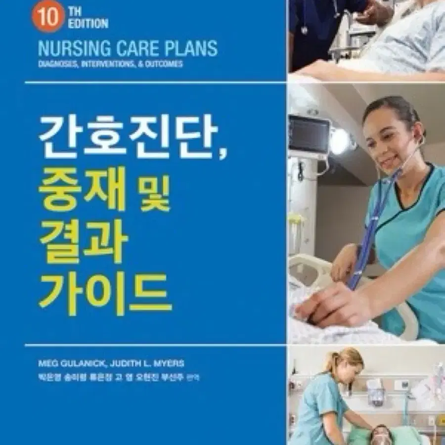 간호진단 중재 및 결과 가이드 pdf 사요