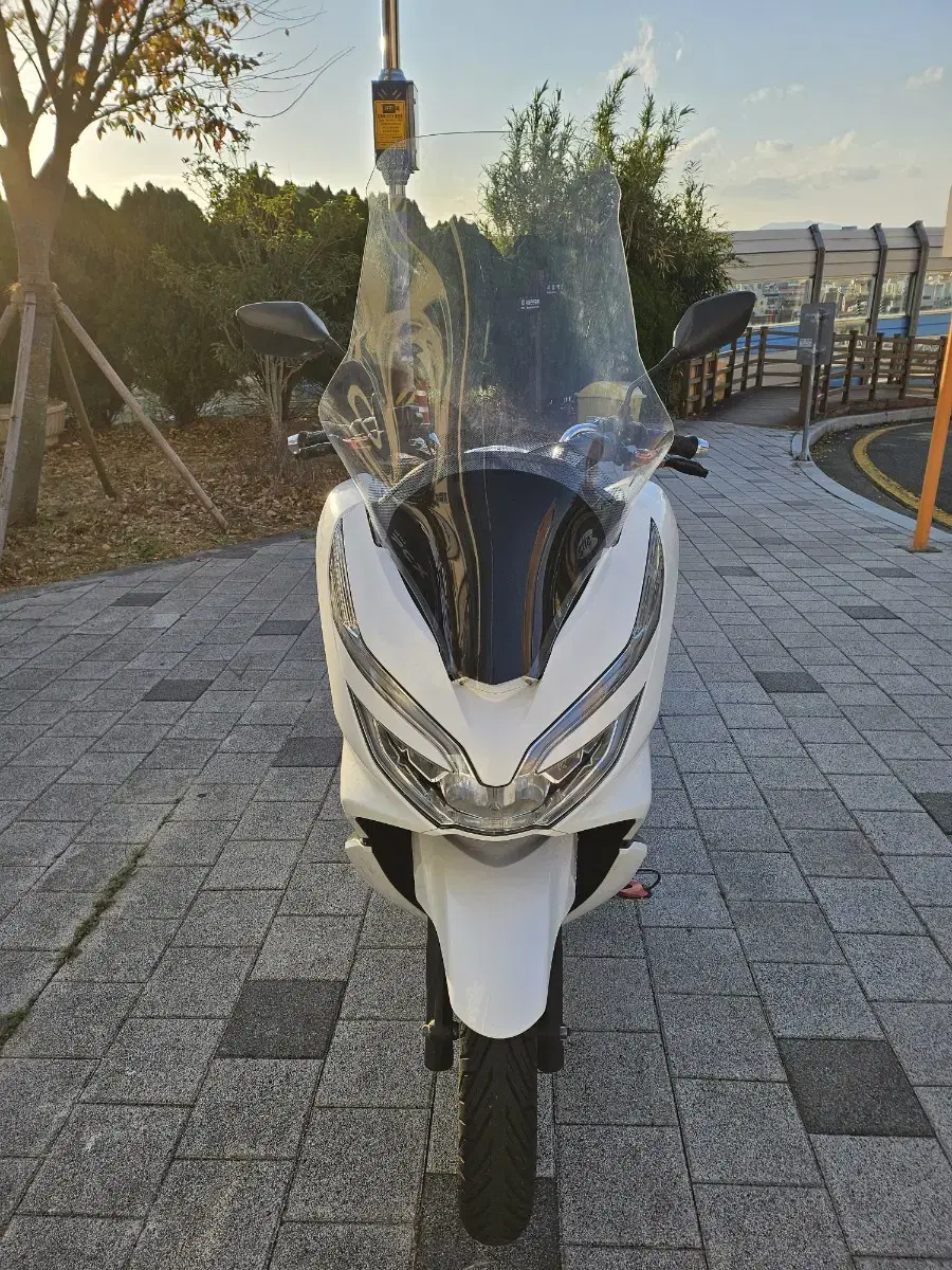 부산 20년 PCX125 차량 판매