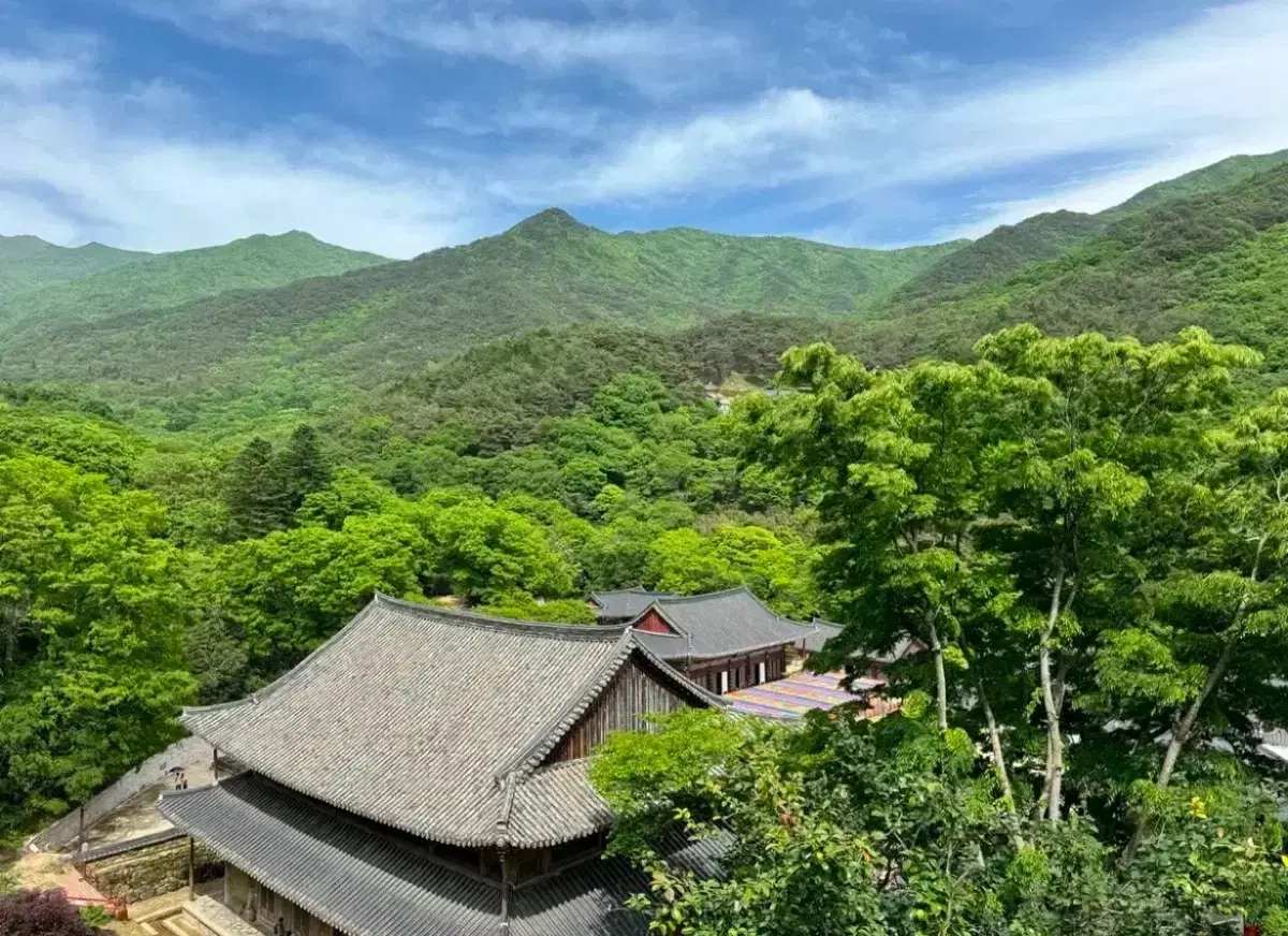 타미힐피거 남성 경량점퍼